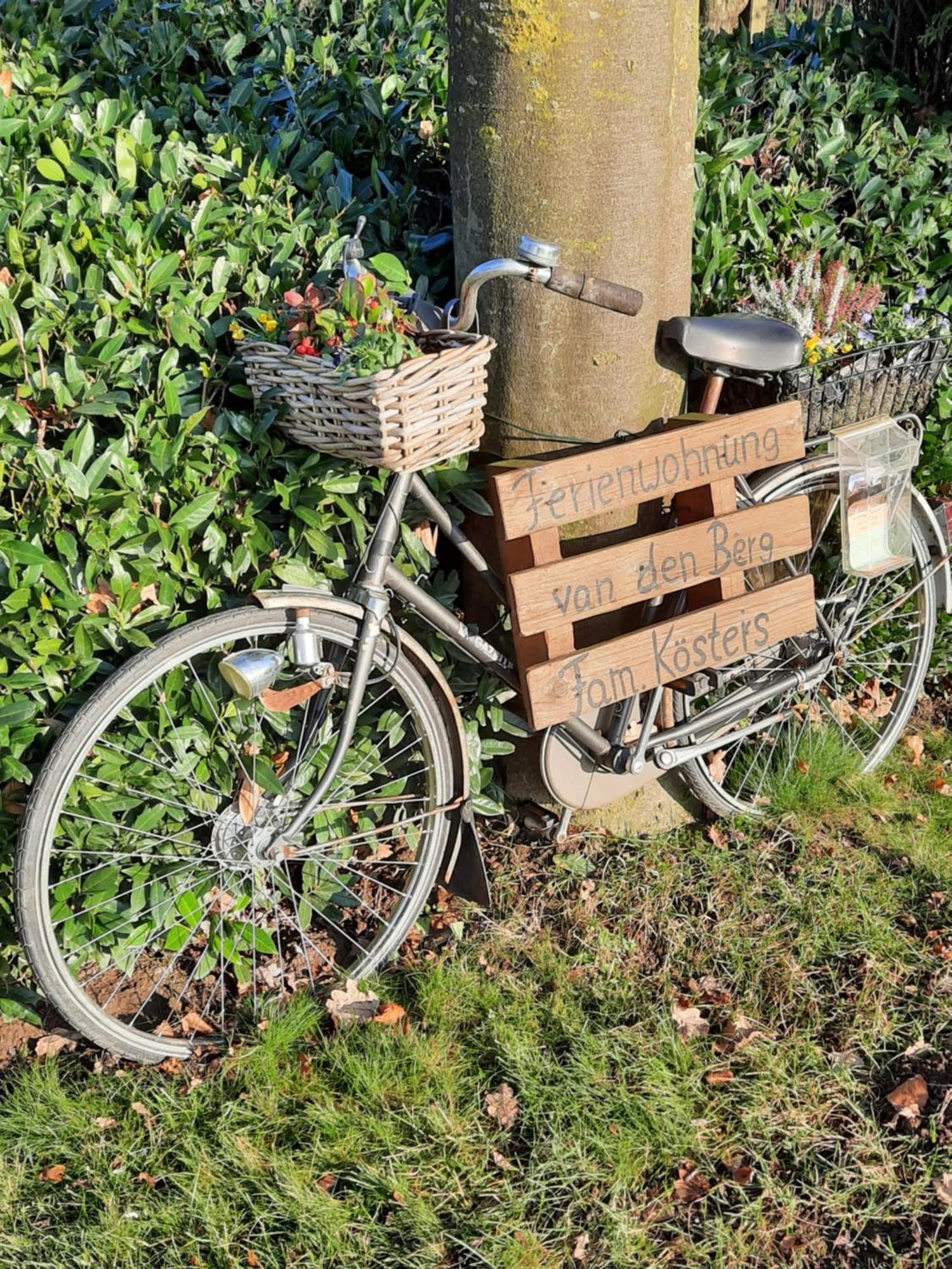 Ferienwohnung Van Den Berg レース エクステリア 写真