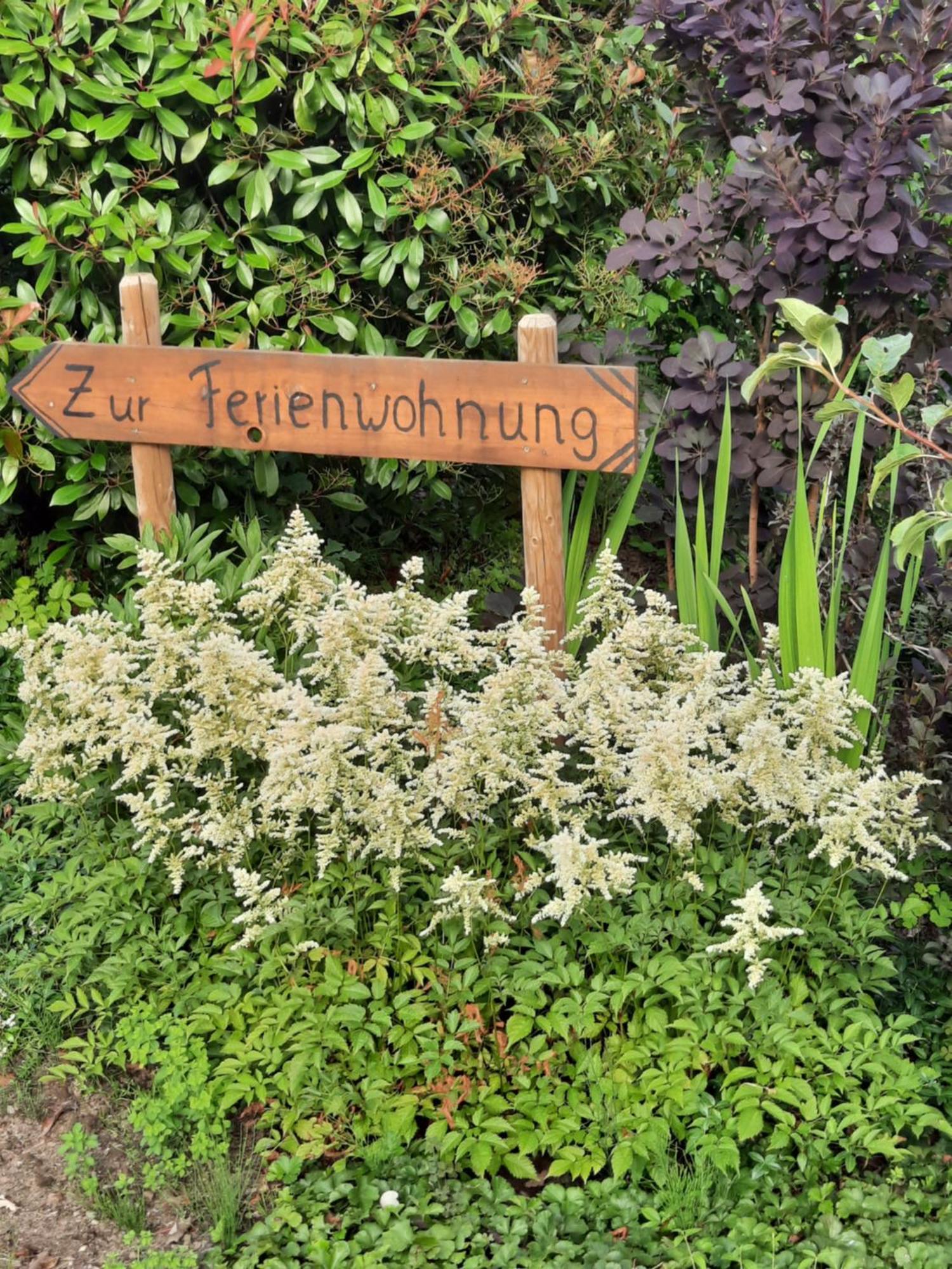 Ferienwohnung Van Den Berg レース エクステリア 写真